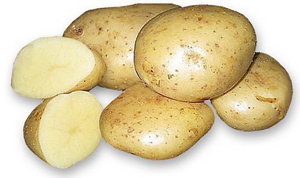 Картофель семенной удача описание сорта фото