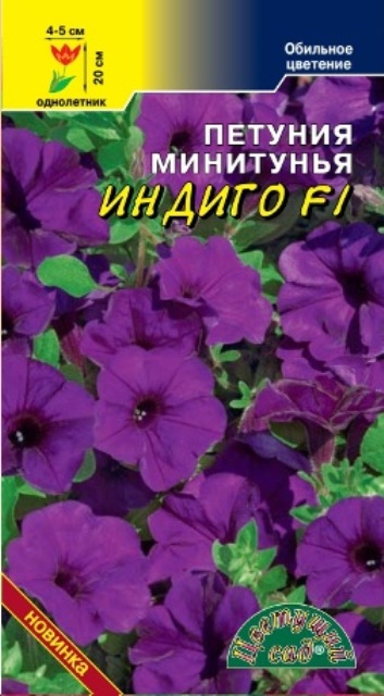 Петуния капелла индиго