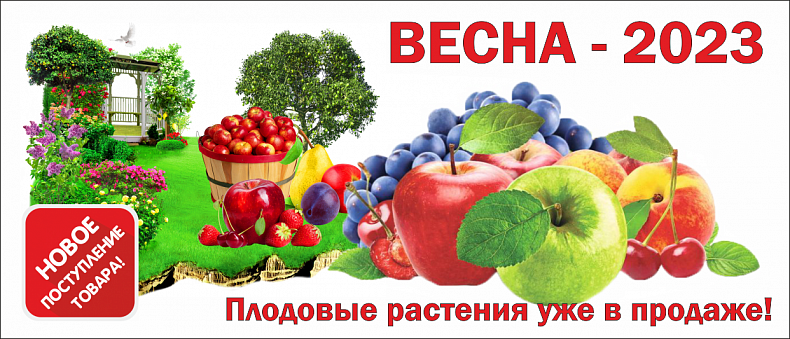 Плодовые растения уже в продаже!