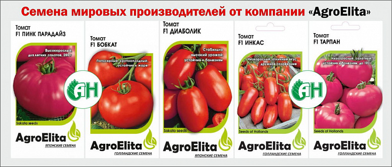 Семена мировых производителей от компании "AgroElita" - уже в продаже