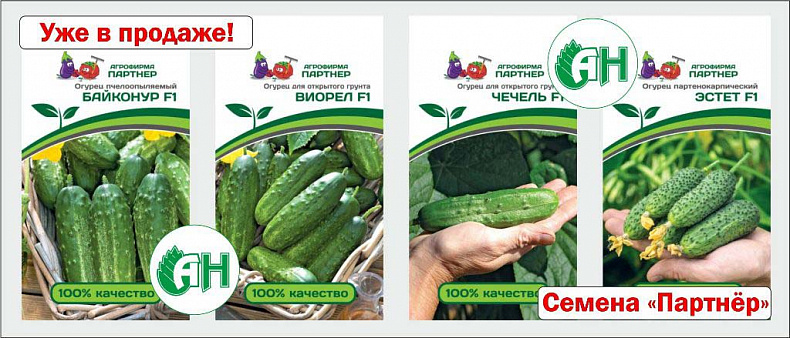 Семена агрофирмы "Партнёр" - уже в продаже