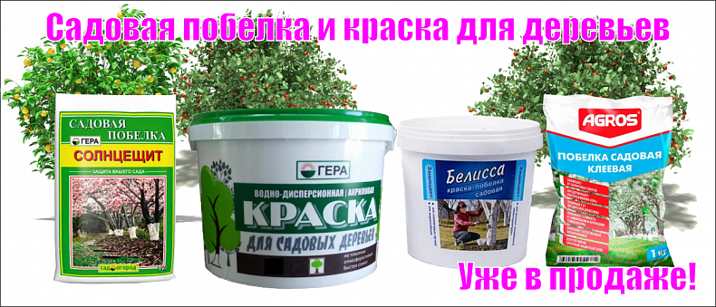 Садовая побелка и краска для деревьев