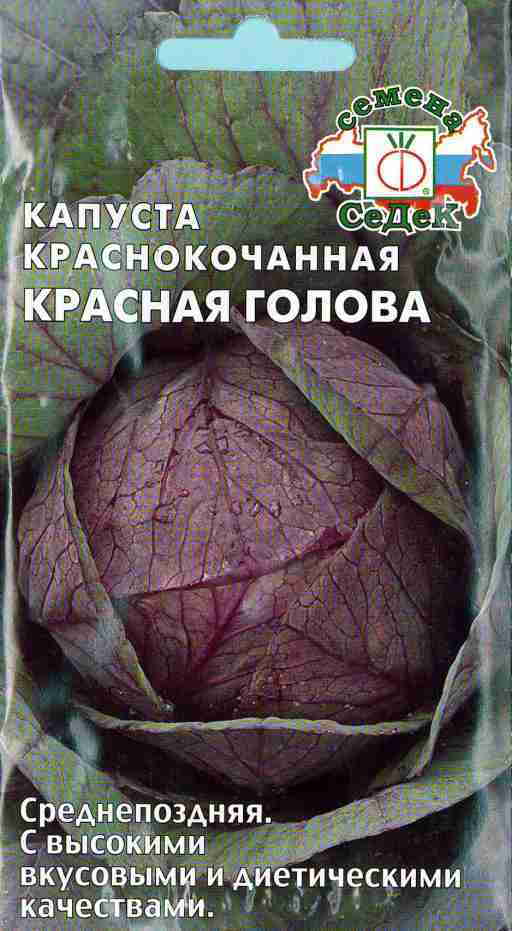 Краснокочанная Капуста Семена Купить