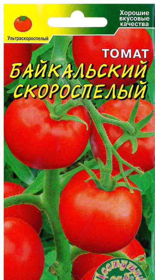 Томат Сорт Сибирский Скороспелый Отзывы Фото