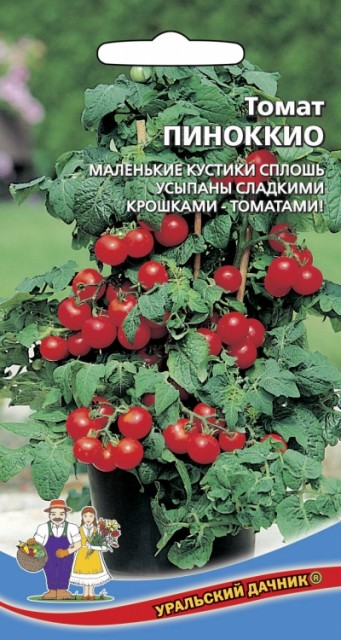 果物 Nopico Купить Томат Пиноккио Р. Низ. Цв/П - АгроНика