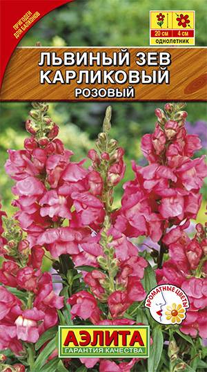 Купить Львиный зев Карликовый розовый Одн. Цв/П - АгроНика